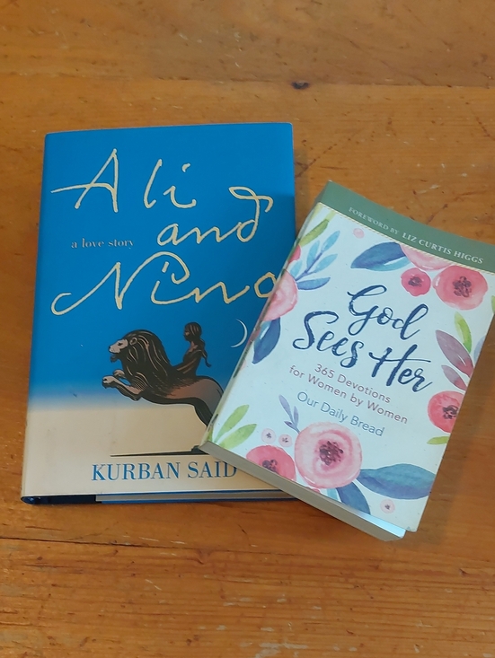 Other - Fiction and Devotional Multi Book Bundle Ali and Nino and God Sees Her